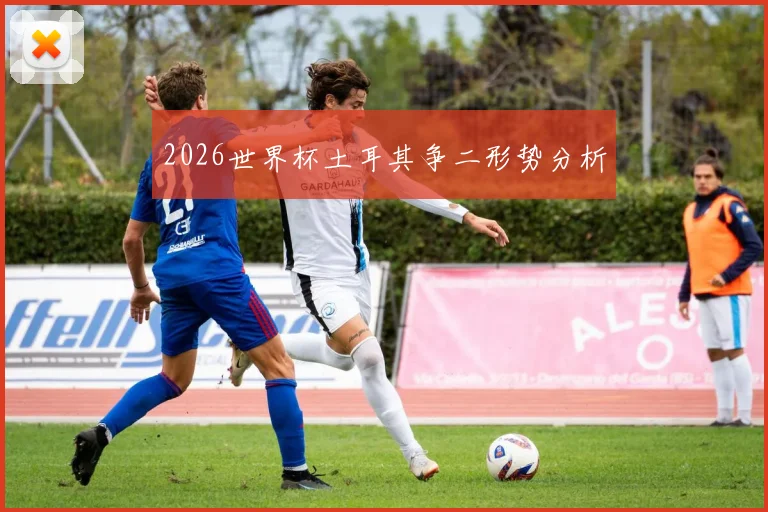 2026世界杯土耳其争二形势分析